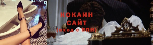 амф Верея