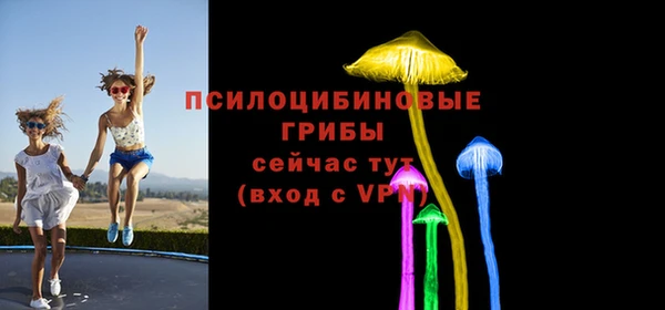 амф Верея