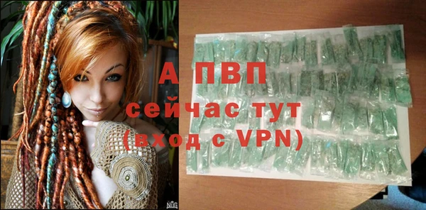 амф Верея