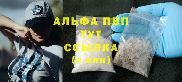 амф Верея