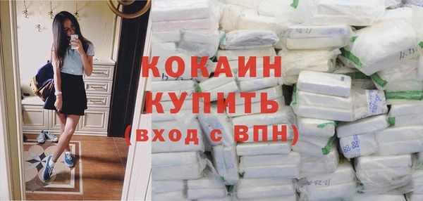 амф Верея